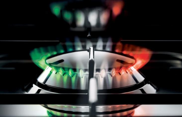 FOGÃO LOFRA NEW MAXIMA M66GV/C